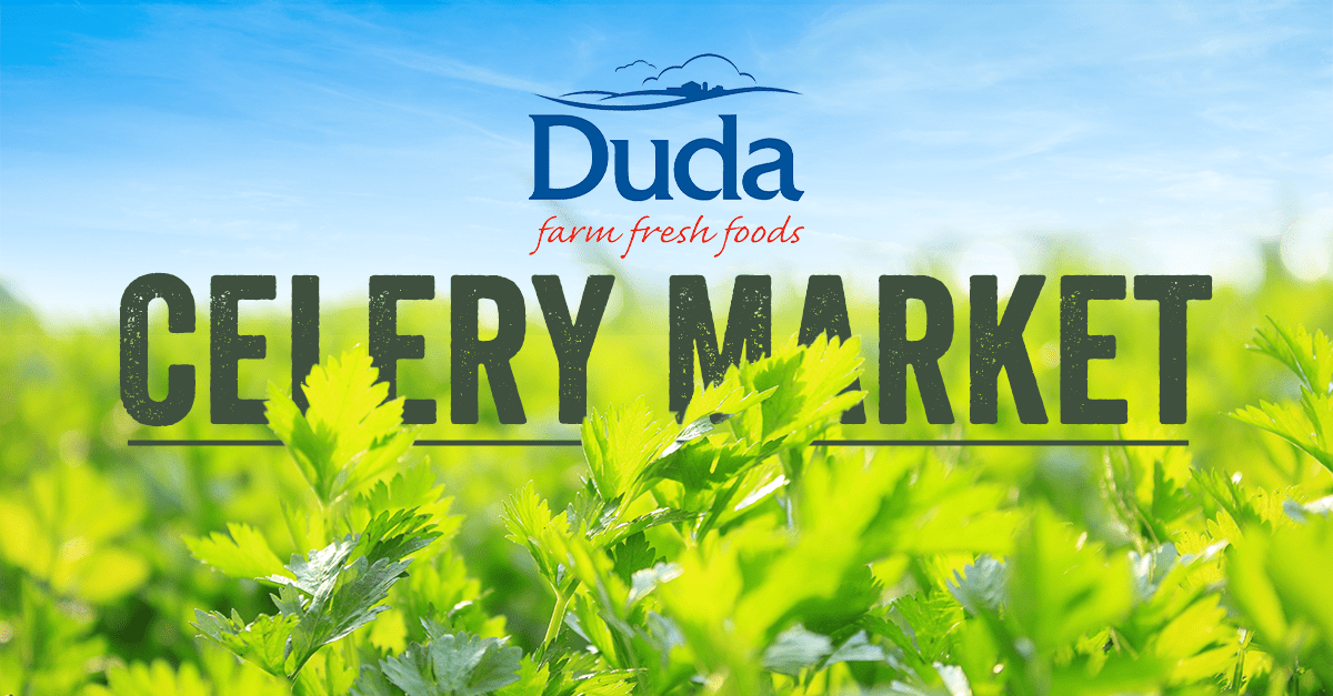 Duda Farm Fresh Foods' Martin Jefferson and Rick Alcocer Discuss