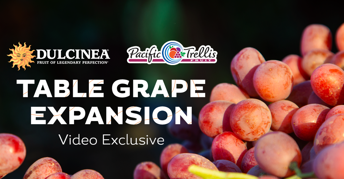 Dulcinea® Farms’ Earl McMenamin Discusses Table Grape Program in