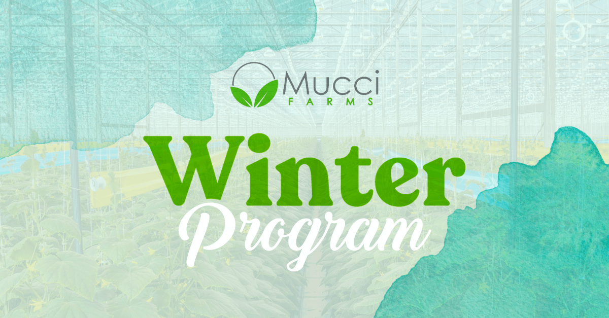 Mucci Farms' Stephen Cowan Details CuteCumber™ Poppers Program Growth