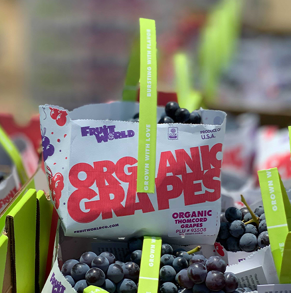 Fruit World Converting Kyoho Vineyards to Organic as Demand Rises