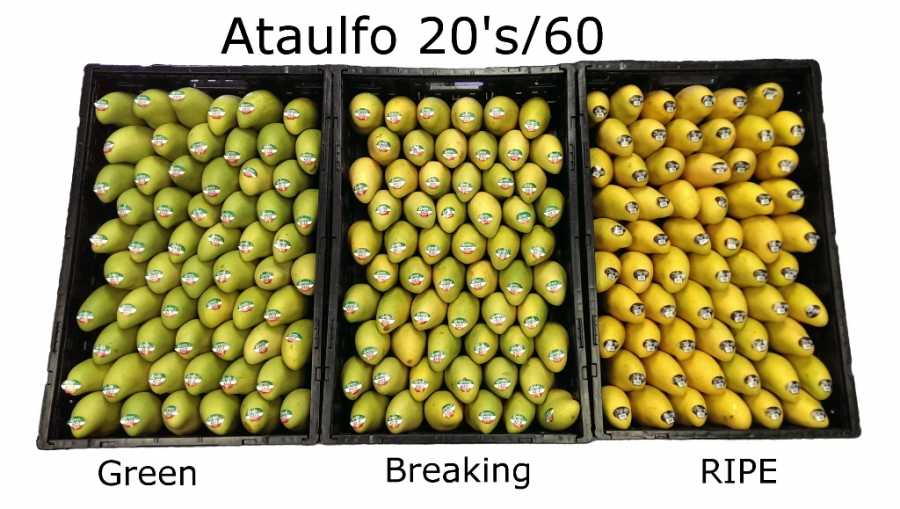 London Fruit's Jerry Garcia and Kalani Jaime Talk Value Added Resources