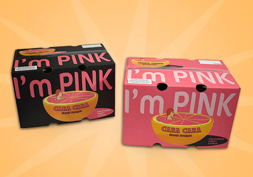 Suntreat Expands Sumo Citrus® Program; Darren Filkins, Daniel Kass, and