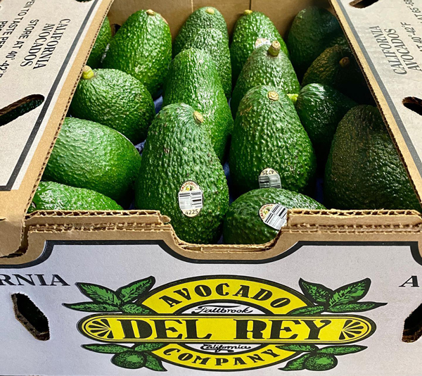 Del Rey Avocado Feeds Demand with Strong Avocado Supply; Bob Lucy