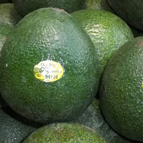 Del Rey Avocado Unveils New Packaging for Its Organic California Reed