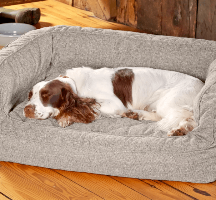 The Best Dog Beds in 2022, Ranked The definitive indepth review of toprated dog beds