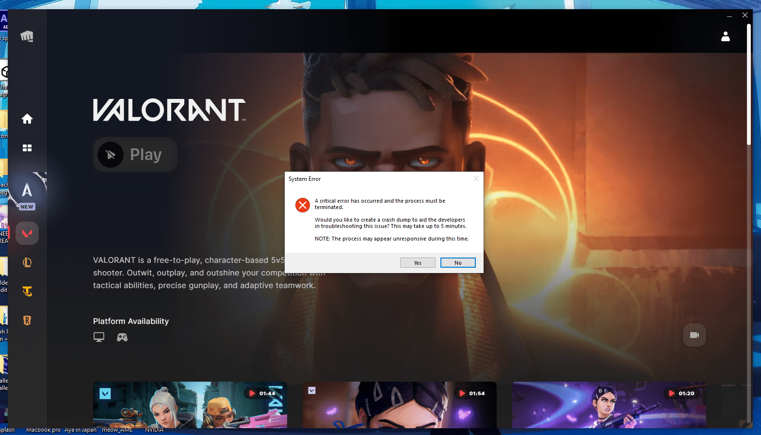 critical error has occurred and the process must be terminated 