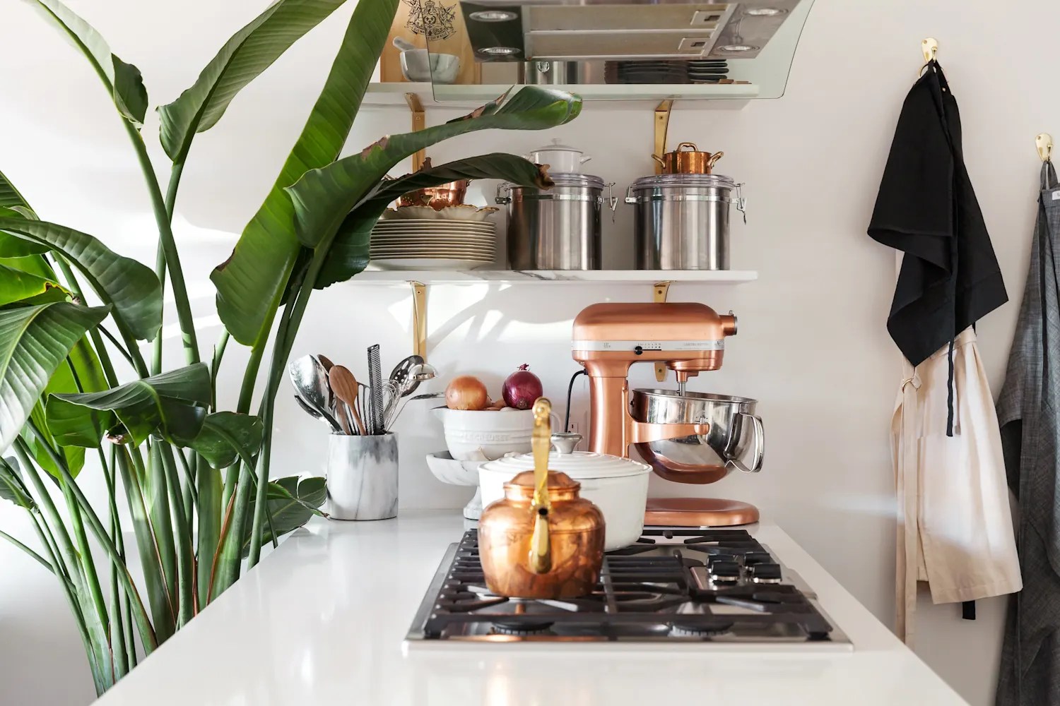 Can You Put it in the Dishwasher? An AfterThanksgiving Guide