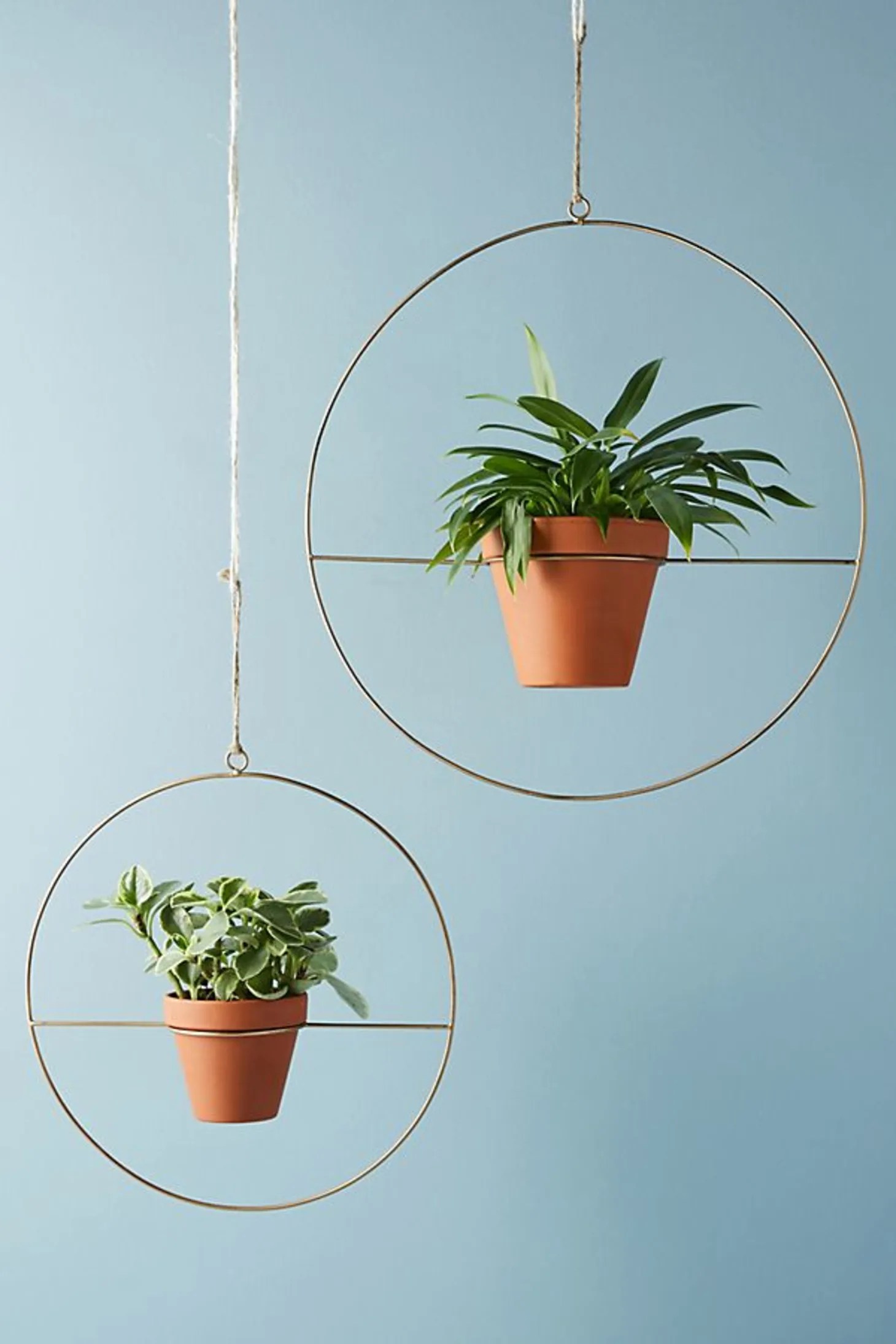 The Best Stylish Indoor Hanging Planters of 2018 Apartment Therapy