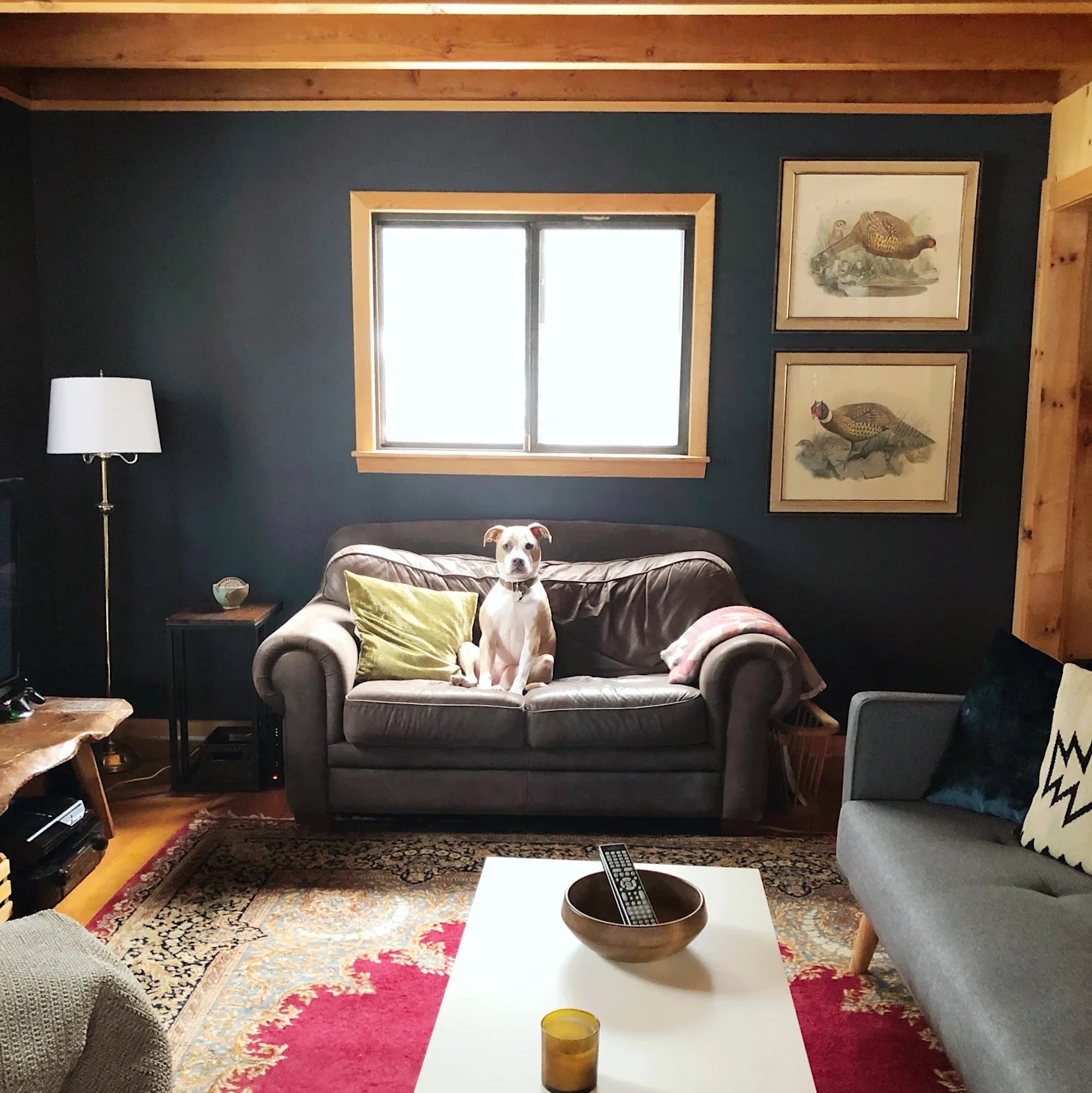 Cozy Cabin with Dark Wall Paint Color Inspiration Apartment Therapy