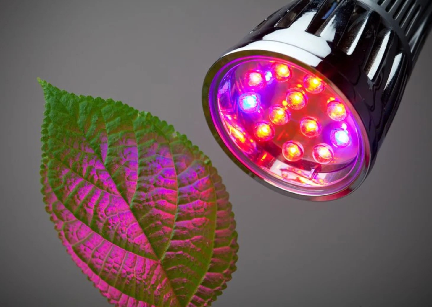 What Kind Of Led Lights Grow Plants 50W LED Plant Grow Lights UFO 250