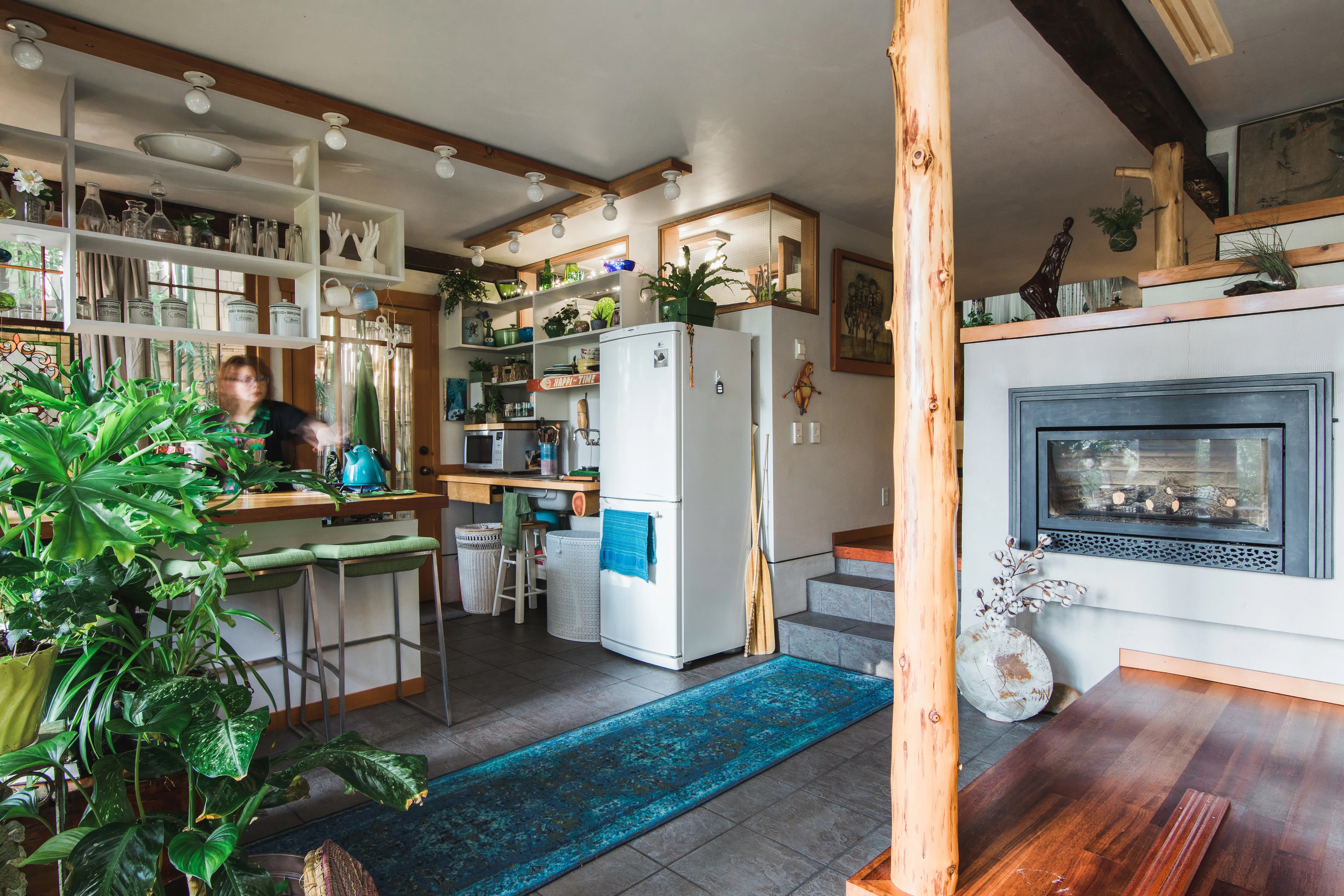 Tour a Small PlantFilled Basement Rental Apartment Apartment Therapy
