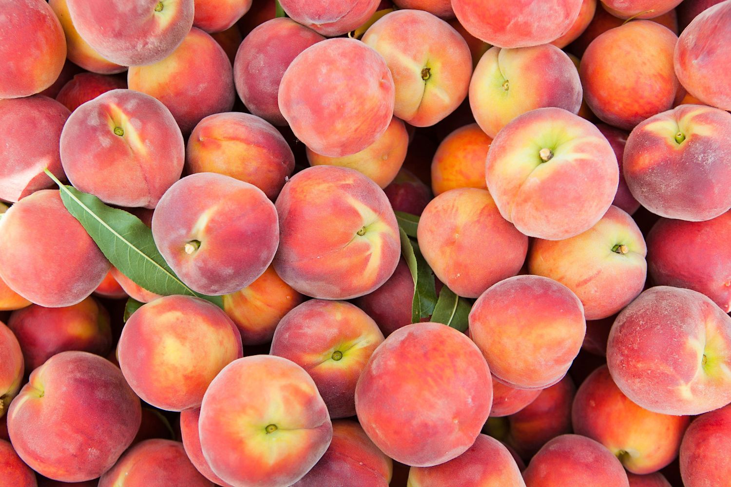 What's the Fastest Way to Ripen a Peach? Kitchn
