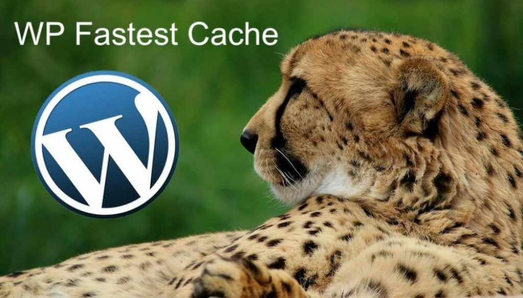 Is WP Fastest Cache the Solution You Need? A Comprehensive Review