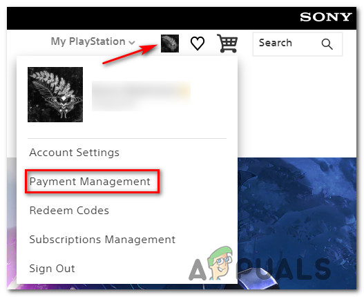 How to Fix PSN 'Error Code E8210604A' When Buying a PS Plus Subscription?