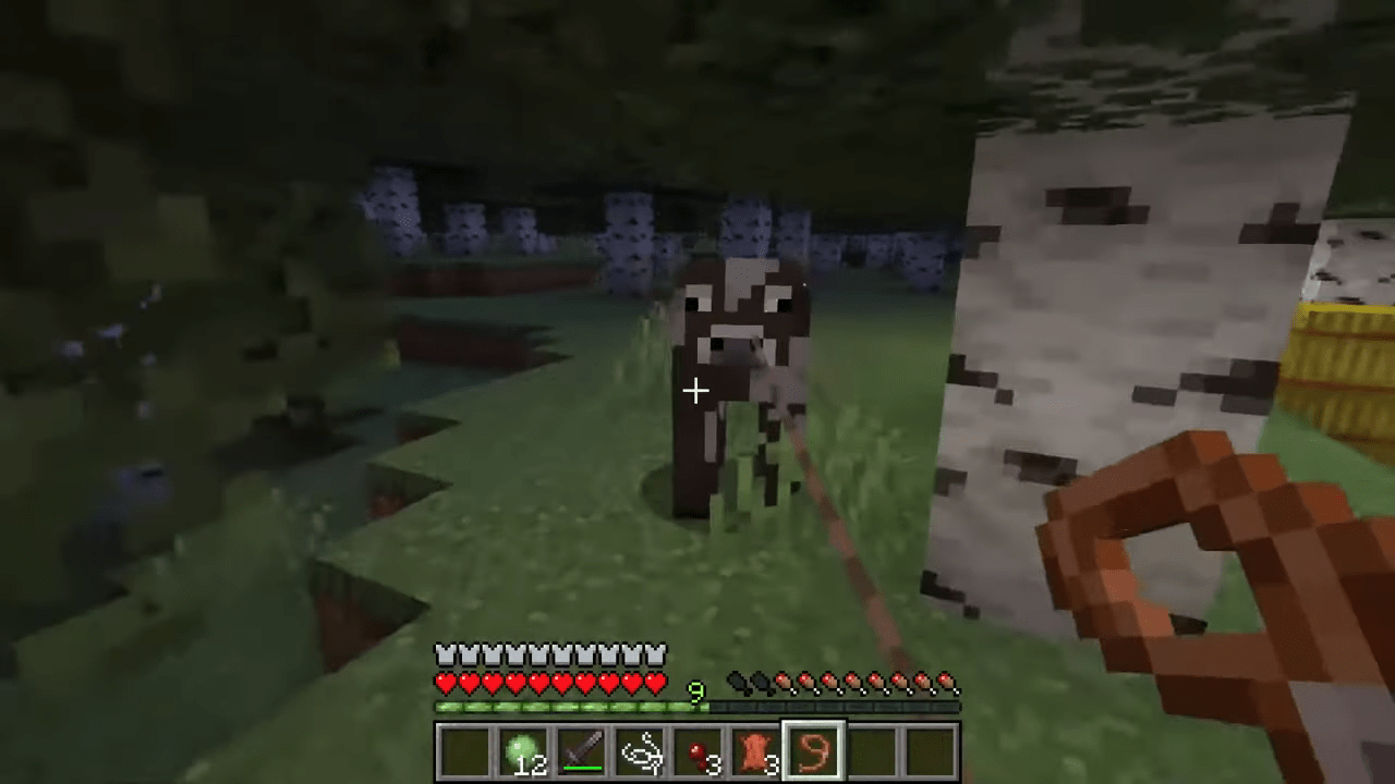 How to Make A Minecraft Lead & Use It + Pros & Cons [2024]