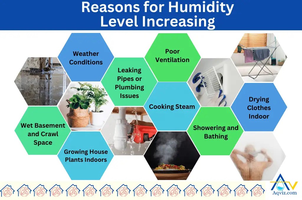 What to Know About Humidity Levels, Impacts, and Controlling