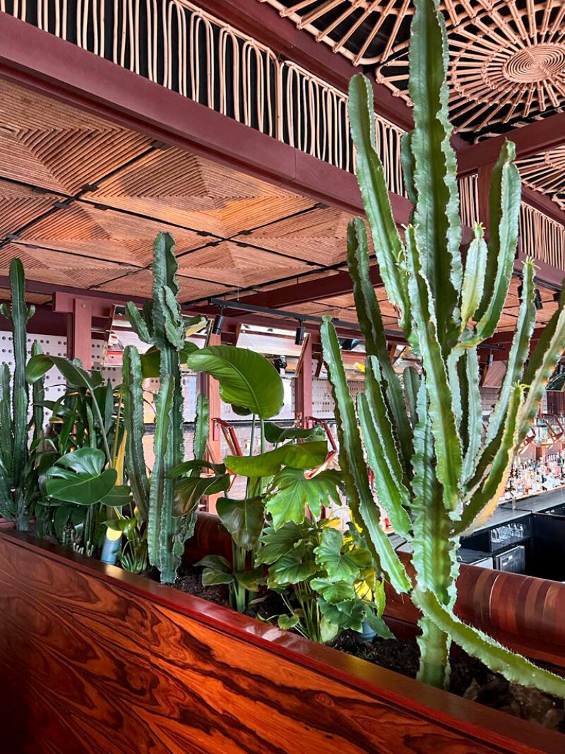 Behind the Scenes The Standard Hotel The Architecture Club