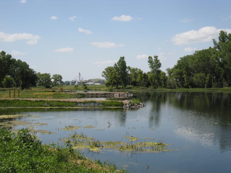 Community of Arnold Growing Great Things