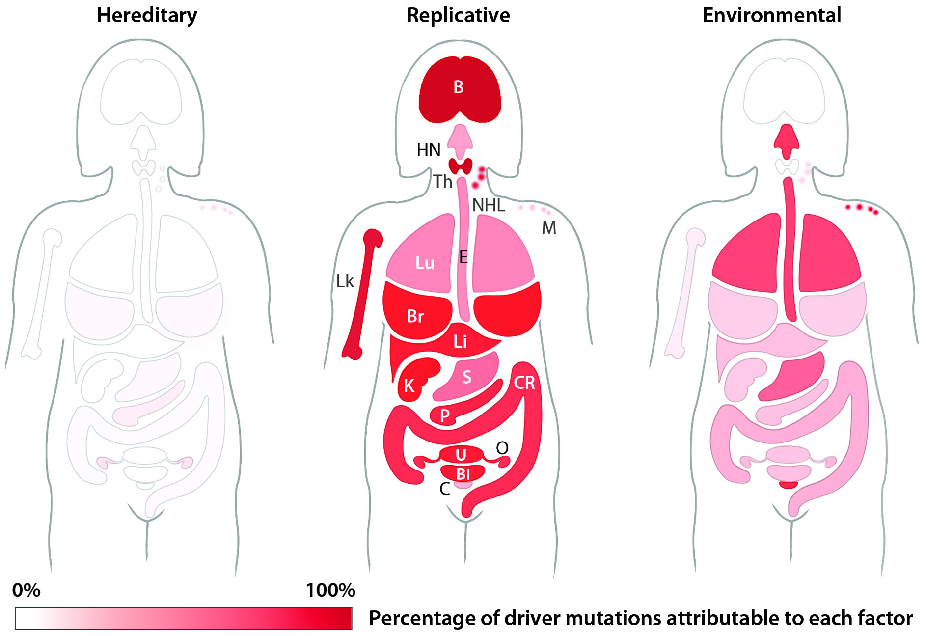 Bad luck may play a big role in cancer—but prevention tactics still