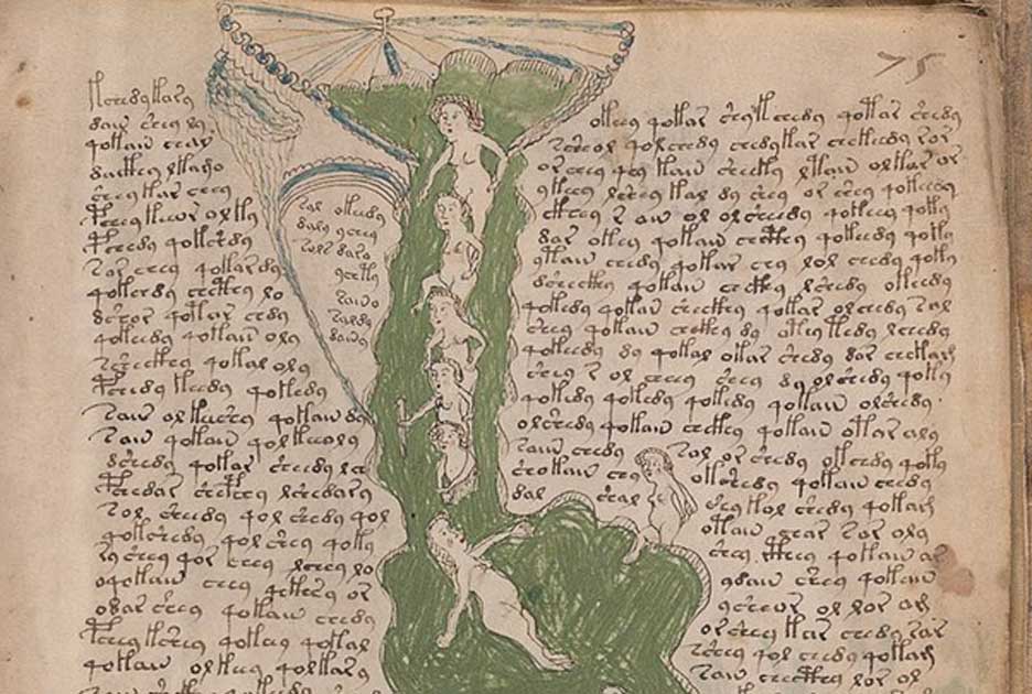 162 Unknown Codex The Voynich Manuscript And Other Mysterious Books 