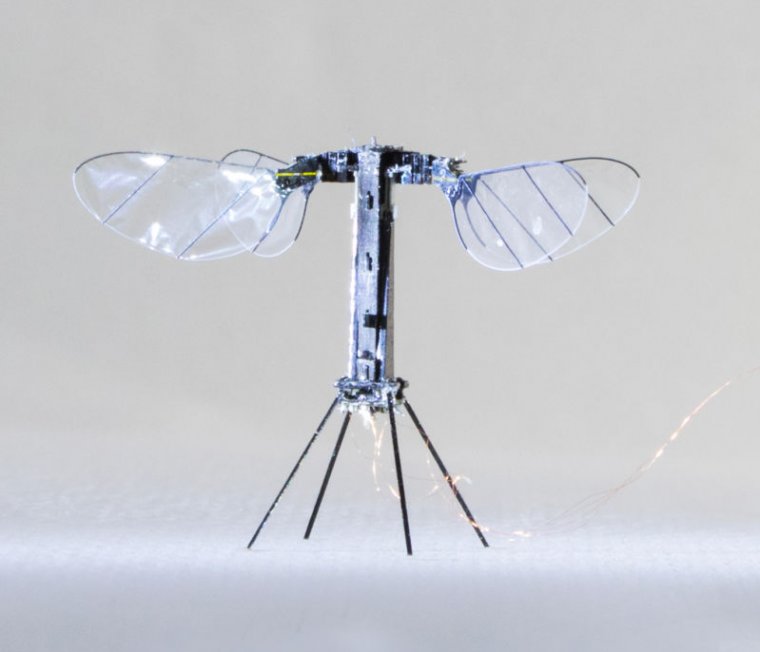 Flying, insectlike robot flits closer to independent flight Ars Technica