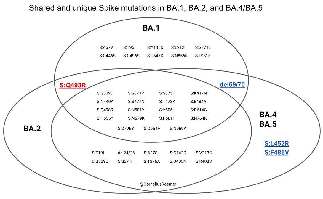 Omicron subvariants BA.4, BA.5 evade protection from earlier omicron