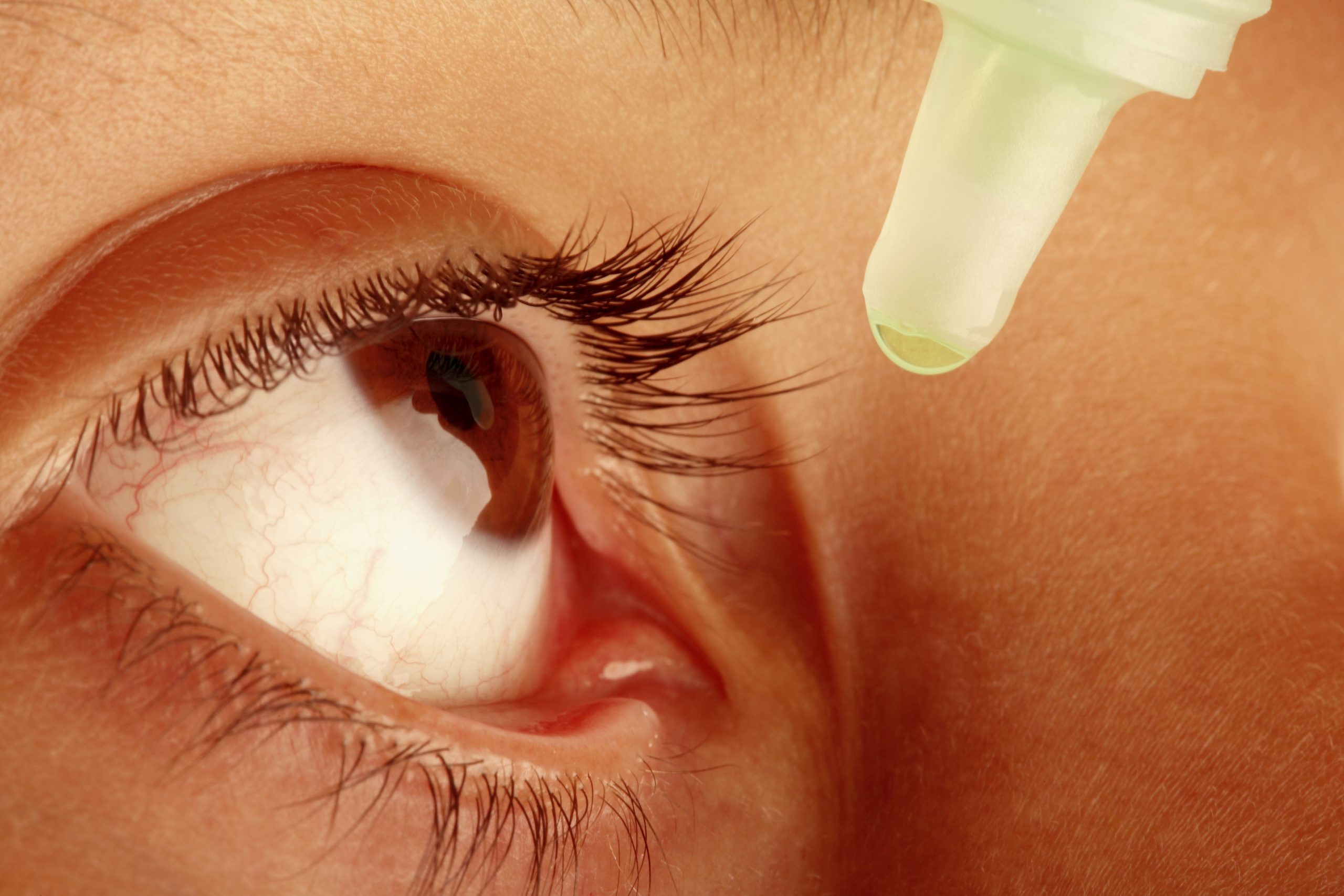 Maker of eye drops linked to deadly outbreak flunks FDA inspection Ars Technica