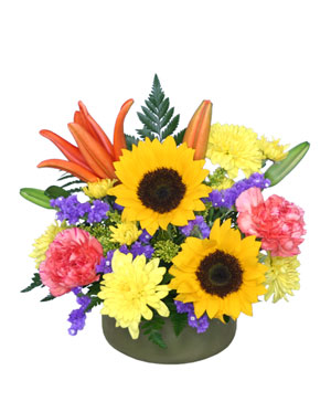 Bloomington Florist | Bloomington IN Flower Shop | MARY M'S WALNUT