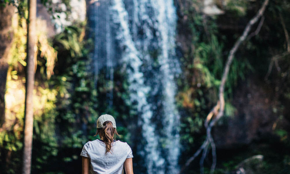 Mt Tamborine Rainforest Walk Half Day Tour, Australia Activities in Australia