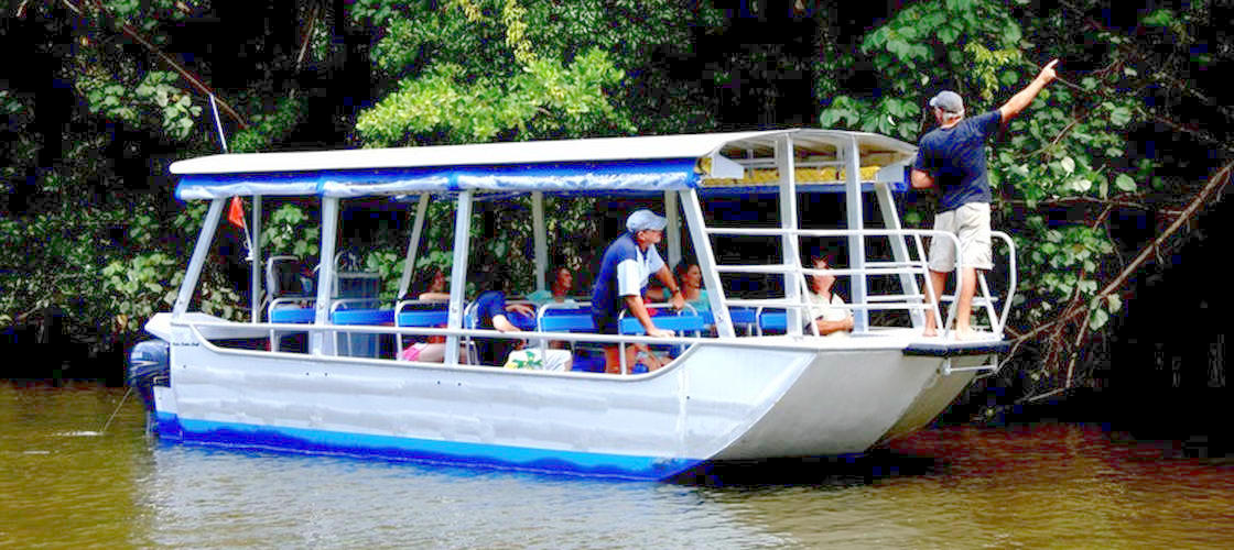 Daintree River Cruise, Australia Activities in Australia