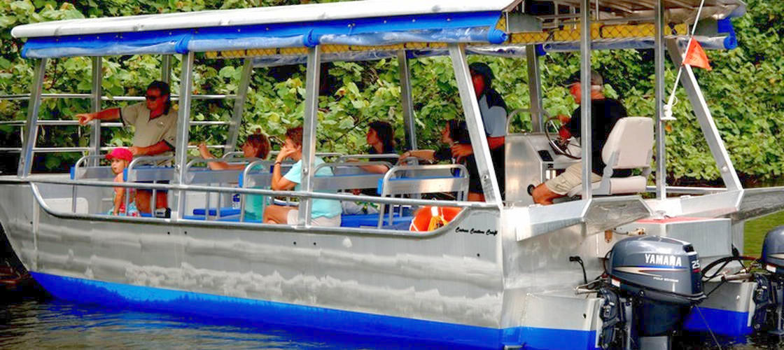 Daintree River Cruise, Australia Activities in Australia