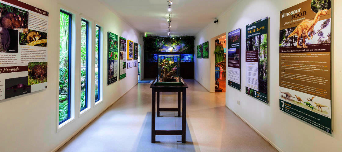 Tamborine Mountain Rainforest Skywalk Tickets, Australia Activities