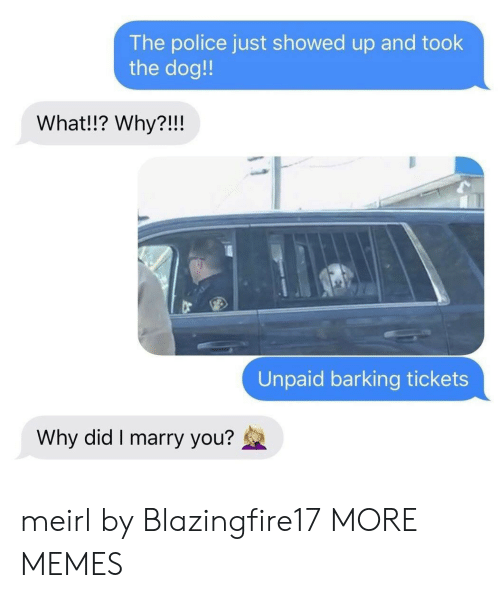 Can You Get A Ticket For A Dog Barking