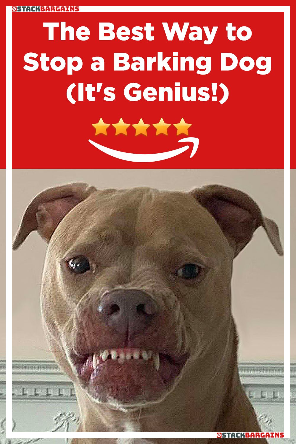 How To Stop A Barking Dog It’s Genius BabelBark