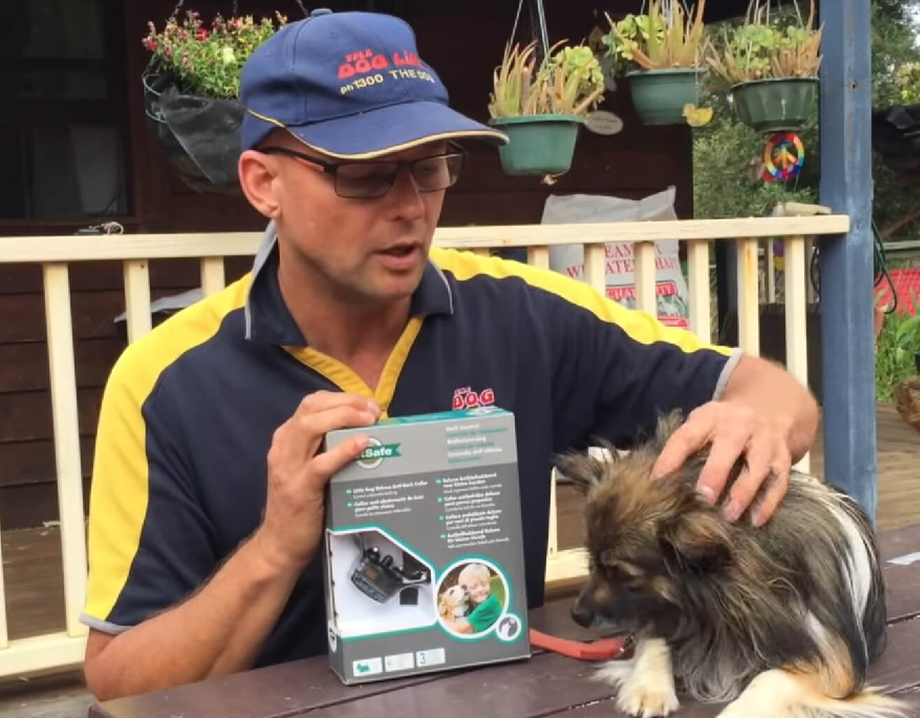 How To Reset Your Elite Little Dog Bark Collar BabelBark