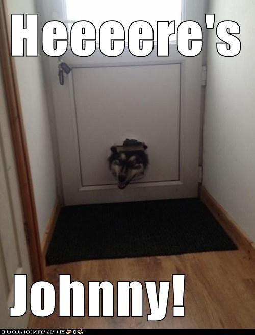 Is A Landlord Responsible For Tenants Barking Dog