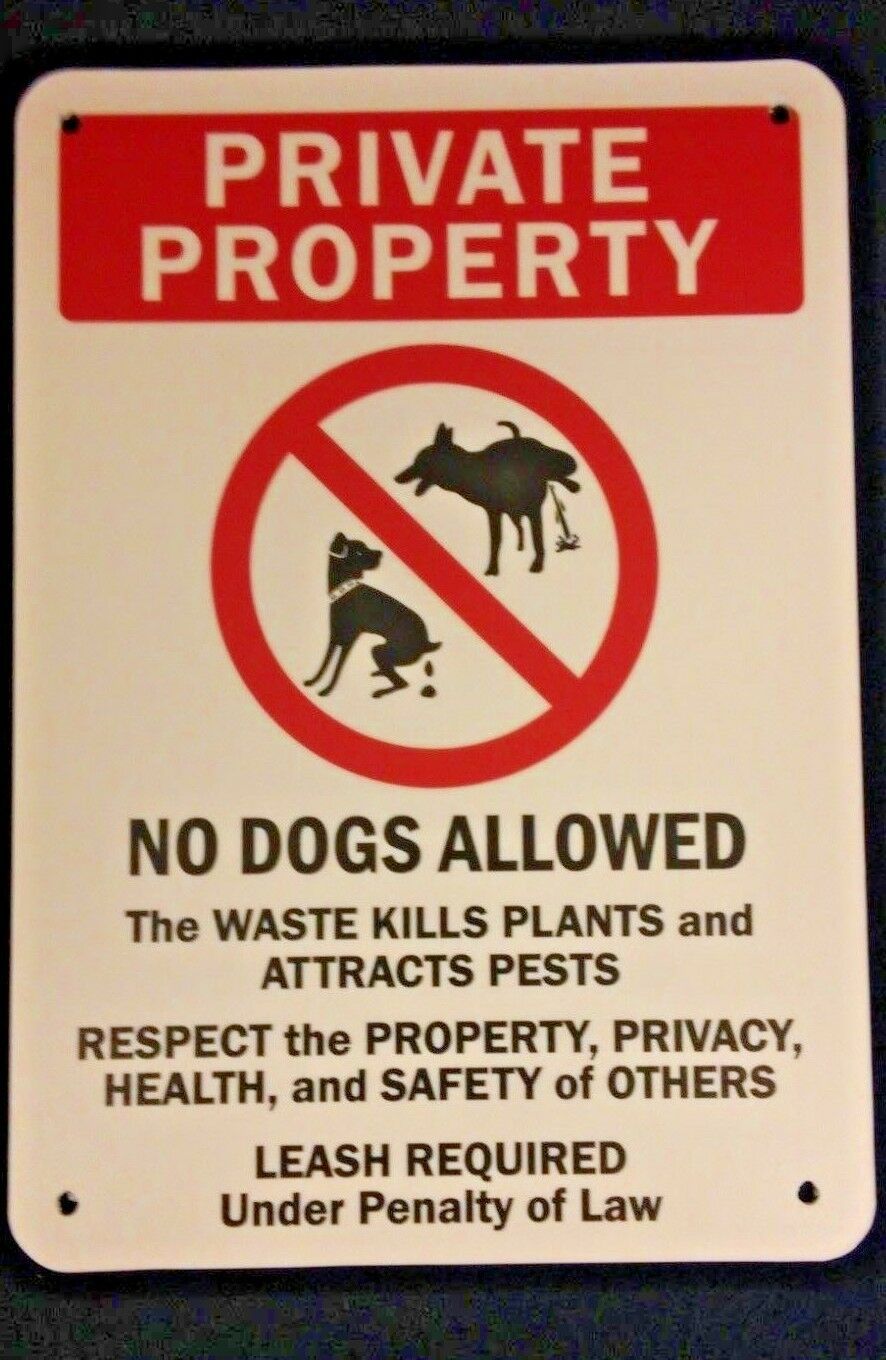 Can Dogs Own Property