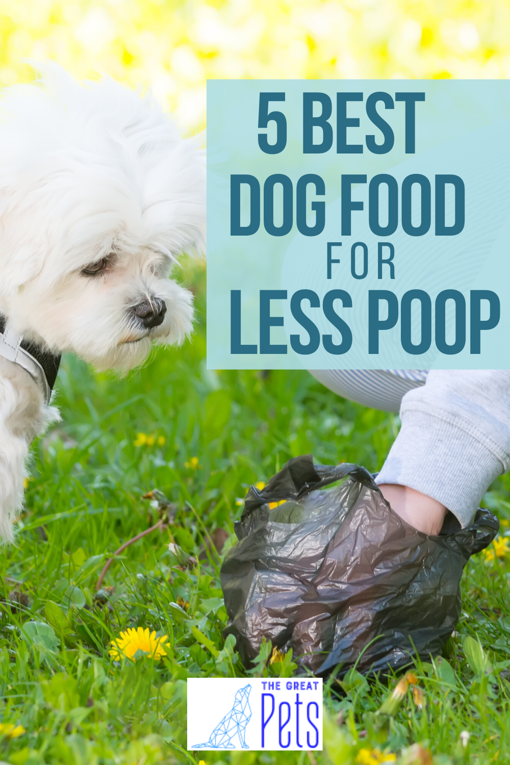 What Puppy Food Makes Them Poop Less