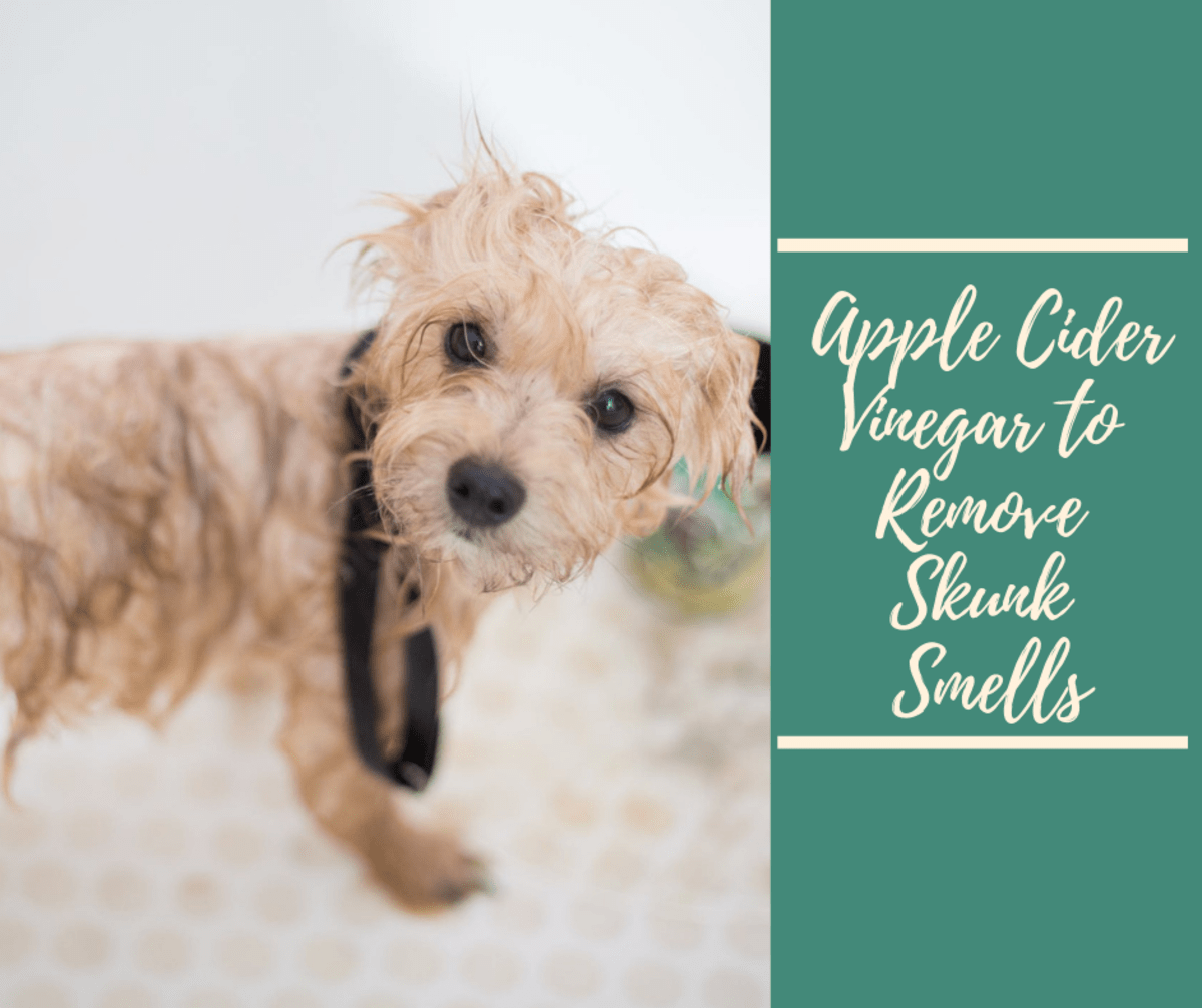 Does Lime Get Rid Of Dog Poop