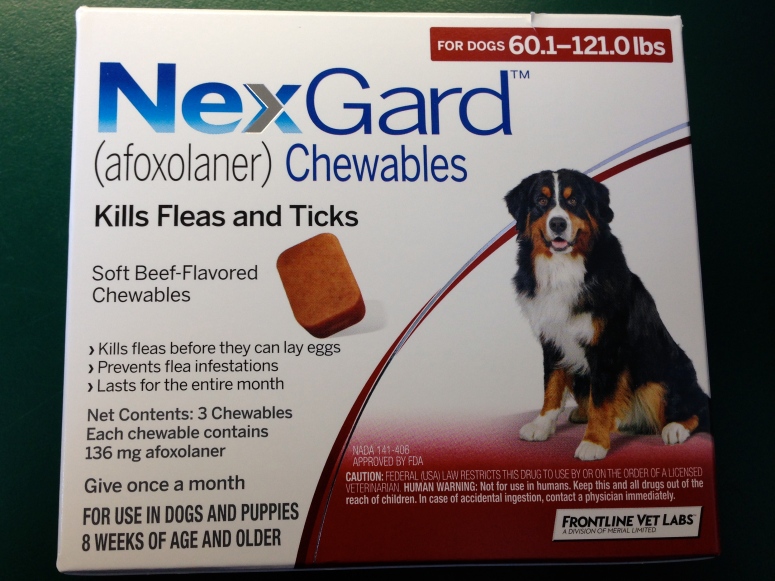 Can Fleas Give Dogs Diarrhea