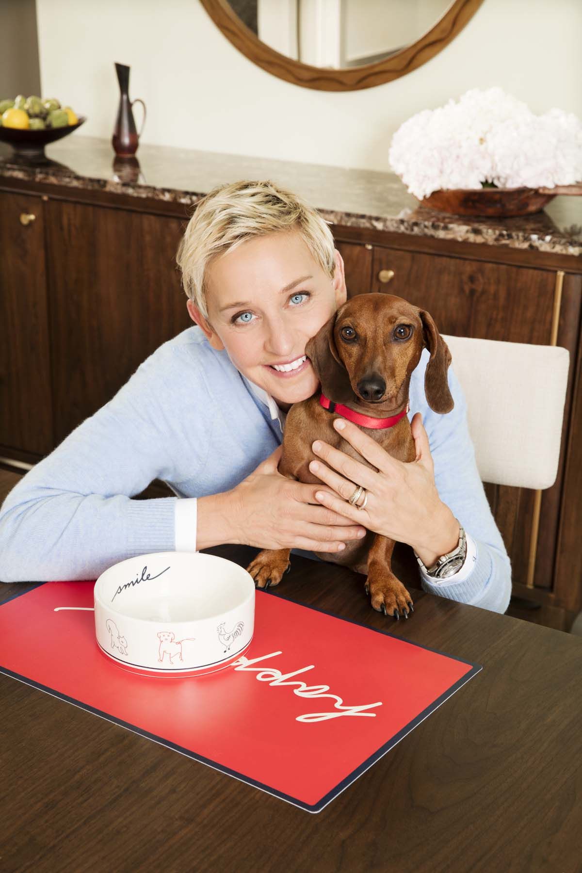 Did Andi Brown Sell Halo Dog Food to Ellen DeGeneres BabelBark