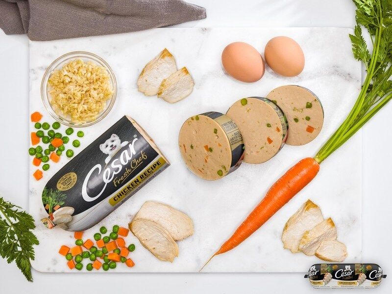 “Are Dog Food Rolls Good?” LongForm Content Outline BabelBark