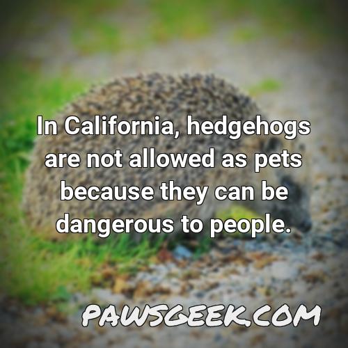 Can Prairie Dogs Be Potty Trained