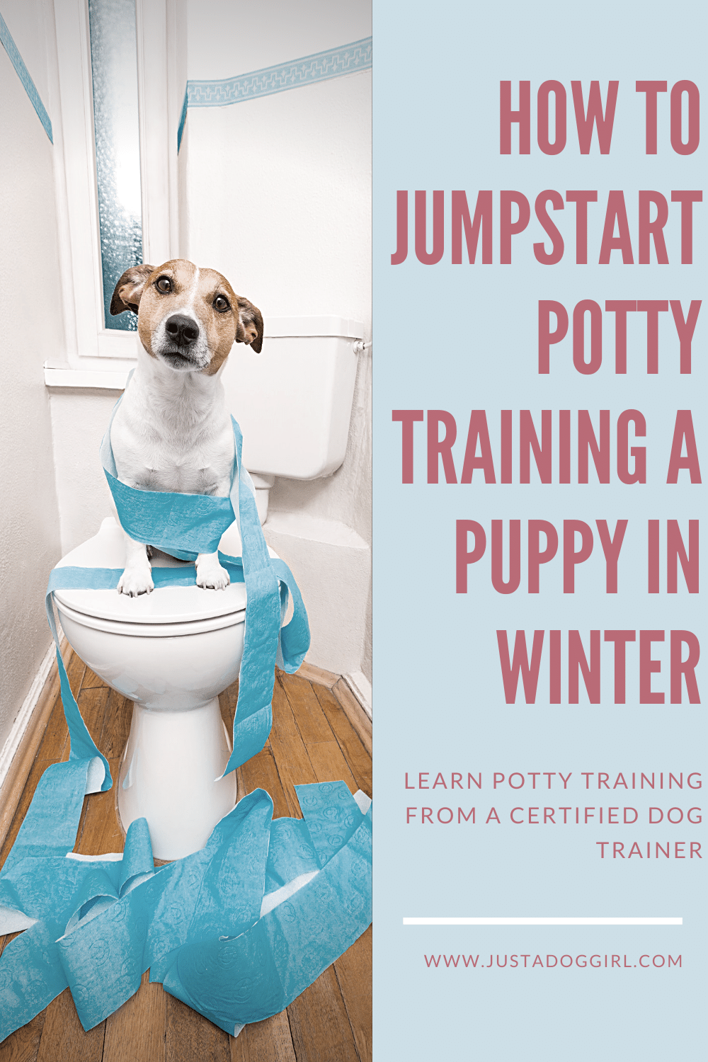 How Do You Potty Train A Puppy When Its Winter