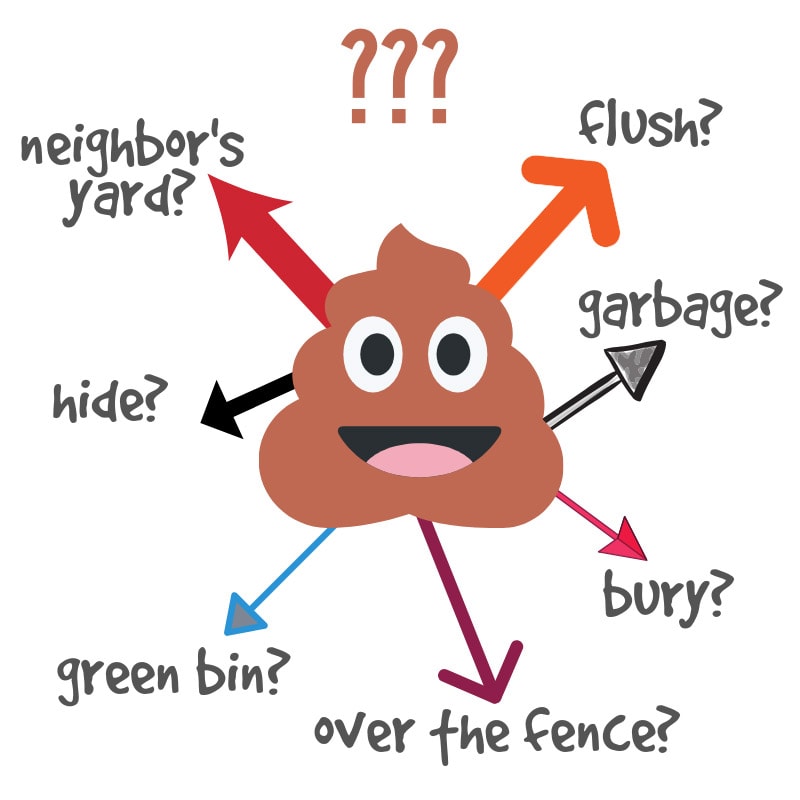 Why Does My Dog Smell Like Horse Poop BabelBark