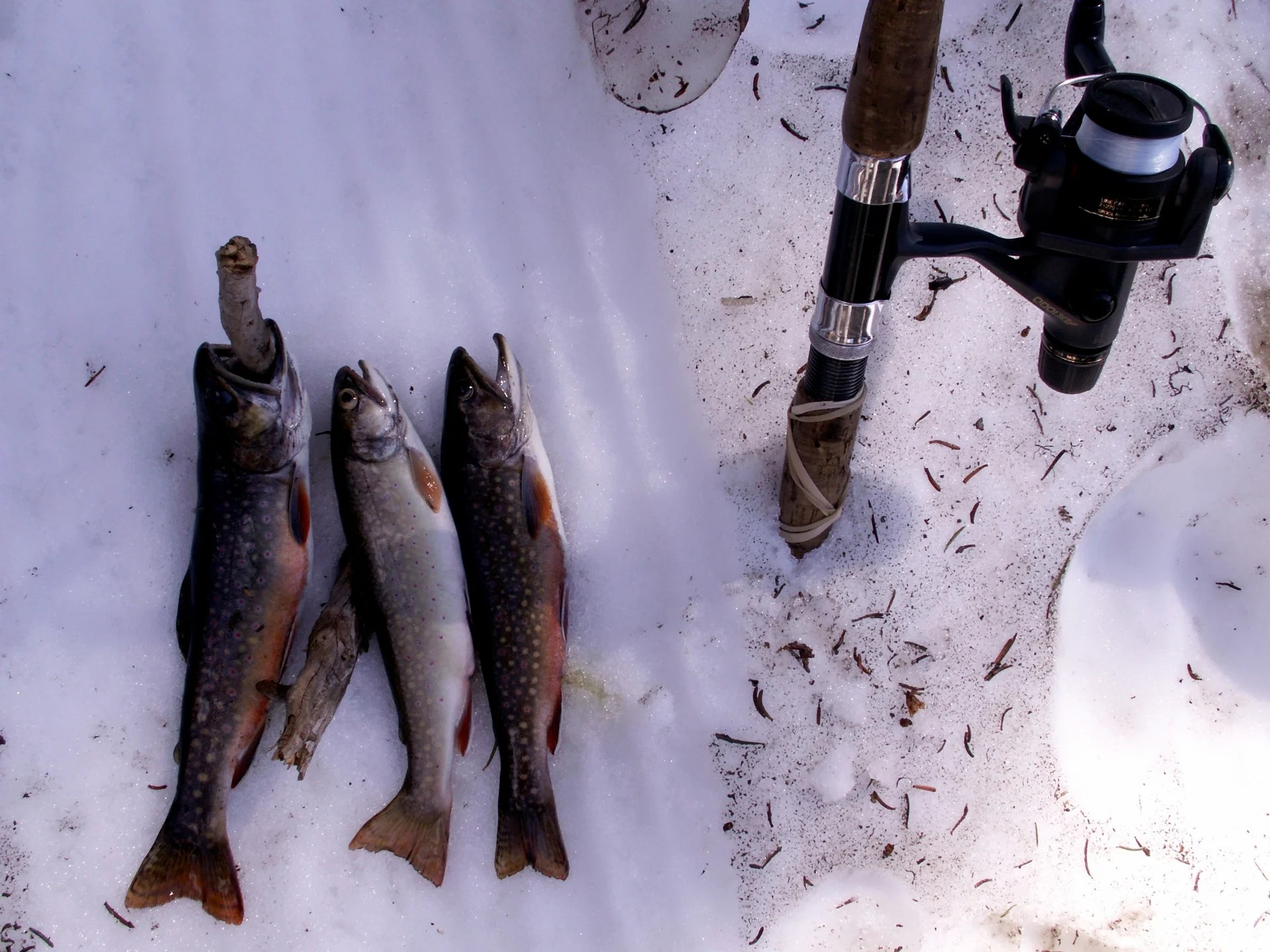 Bonners Ferry, ID Gem Lake