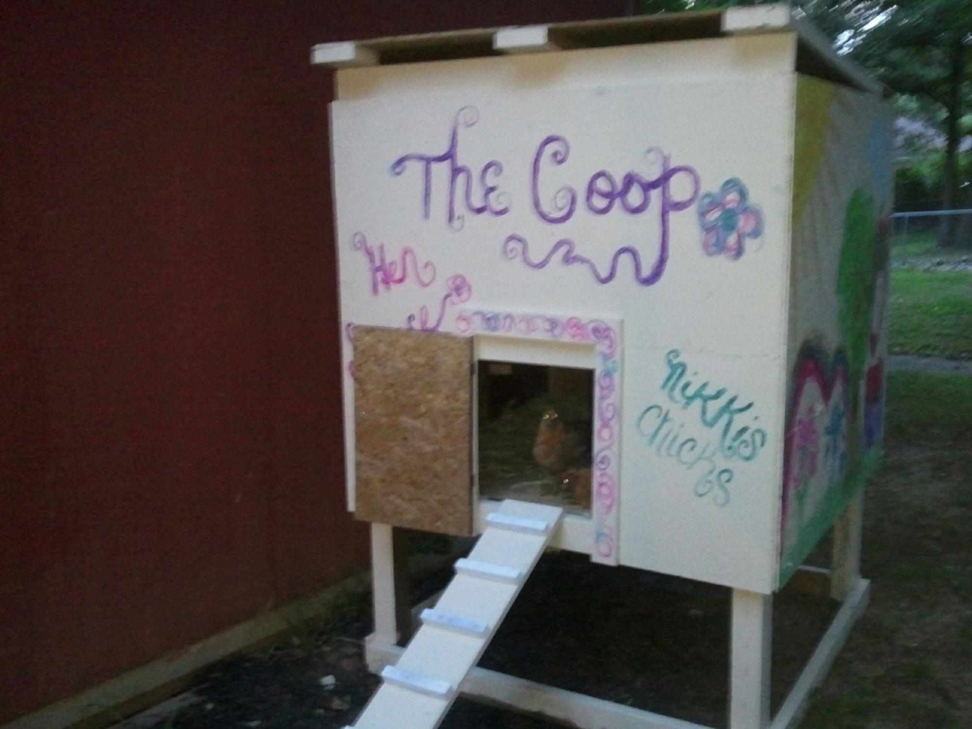 Clarksville, TN. Help!! ( BackYard Chickens Learn How to Raise Chickens