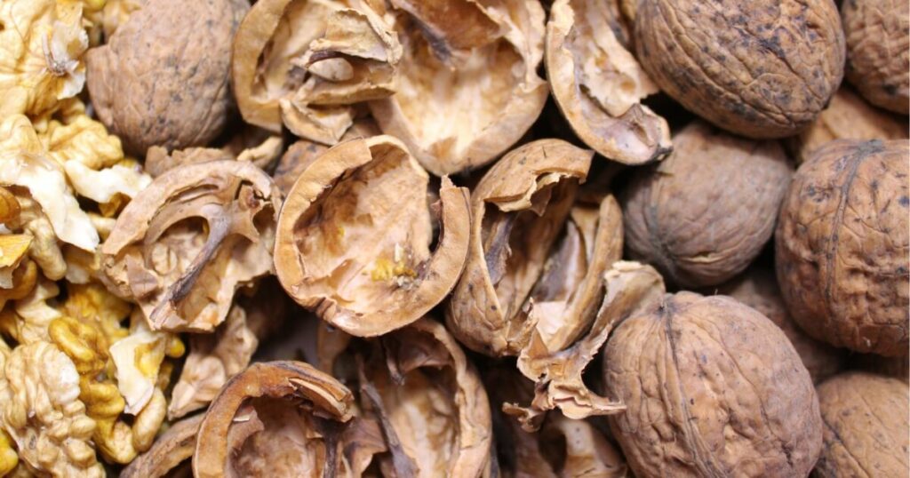 Can You Compost Nut Shells? (What's Okay & What's Not)