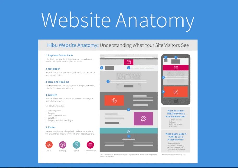 Apa itu Anatomi  dan Bagaimana site Bekerja? Bamaha Digital