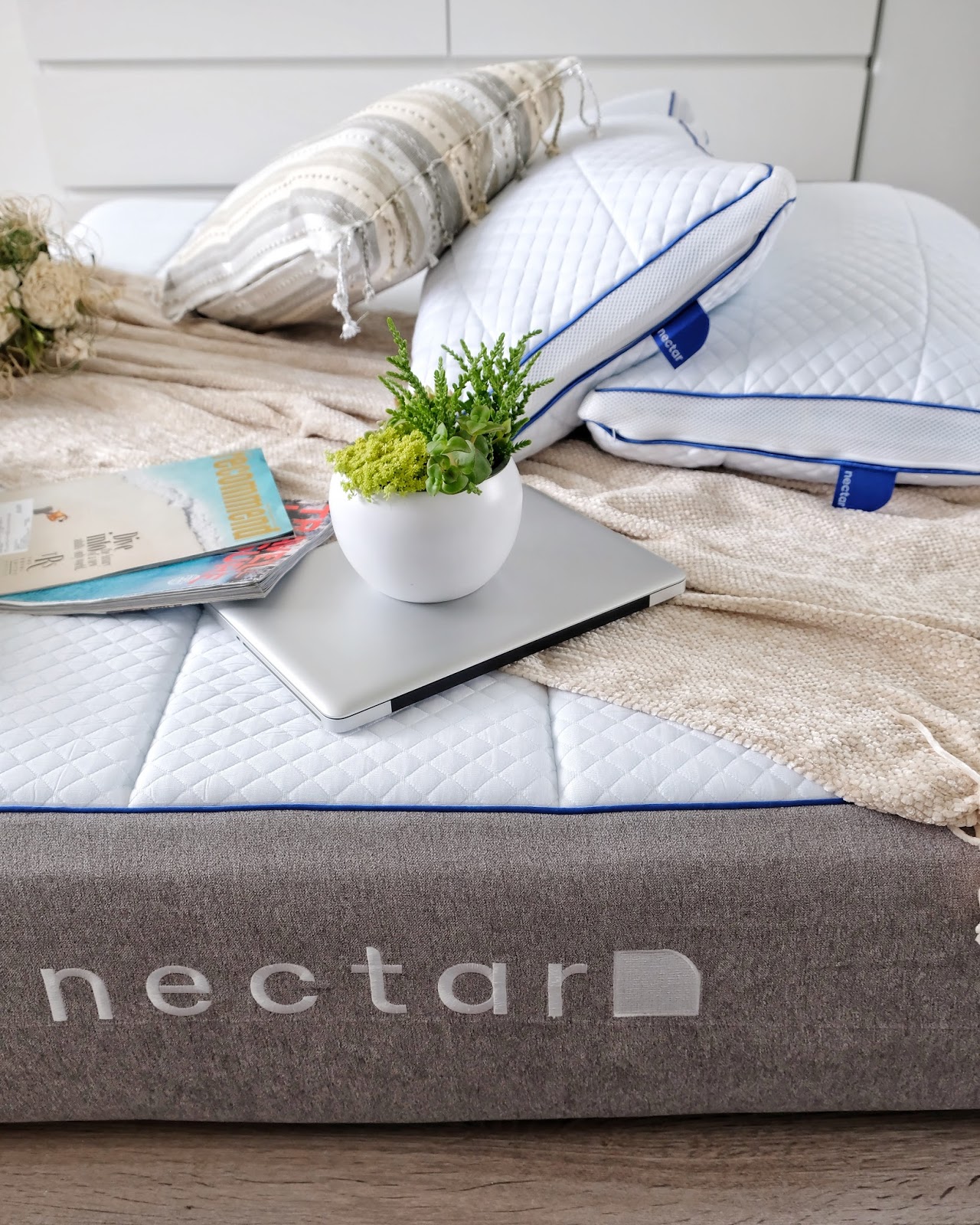 Nectar Mattresses Are They Bed Bug Proof? BedBugs